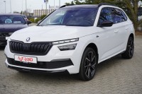 Vorschau: Skoda Kamiq 1.0 Monte Carlo