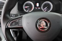 Skoda Karoq 2.0 TDI DSG Style 4x4