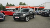 Vorschau: Skoda Kamiq 1.0 Ambition CNG
