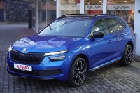 Vorschau: Skoda Kamiq 1.0 Monte Carlo