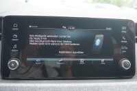 Skoda Kamiq 1.0 TSI