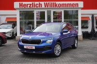 Vorschau: Skoda Kamiq 1.0 TSI