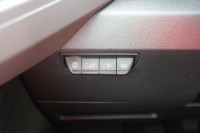 Renault Master IV FWD Kasten L3H2 3.5T Blue DCI 150