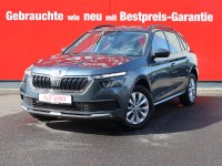 Vorschau: Skoda Kamiq 1.0 Ambition