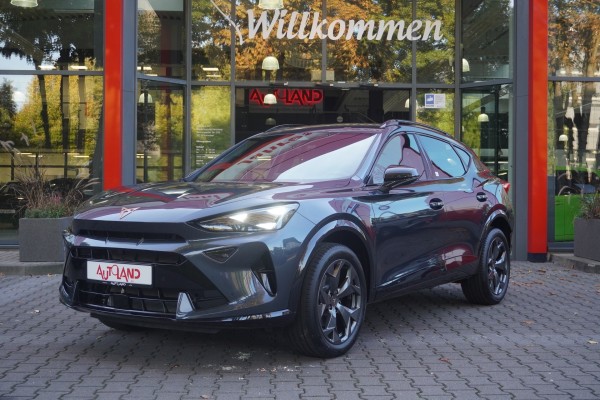 Cupra Formentor 2.0 TSI 4Drive DSG