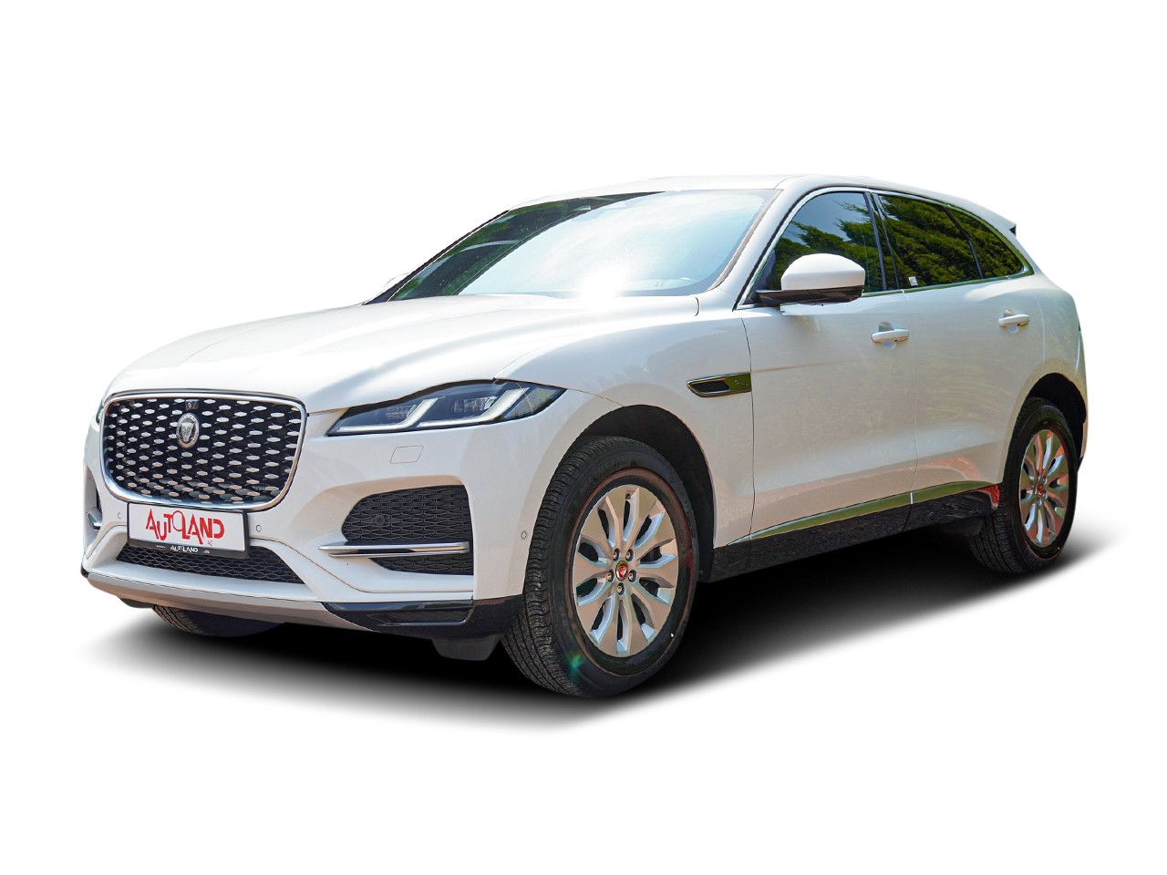 Jaguar F-Pace F-PACE 2.0 M-Hybrid Basis AWD