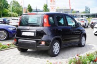 Fiat New Panda Pandina 1.0 mHEV