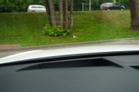Audi Q5 Sportback 40 TDI S-Line s-tronic