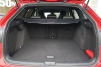 VW Golf VIII 2.0 TDI R-Line DSG