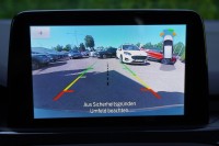 Ford Focus Turnier 1.0 EB ST-Line