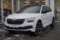Vorschau: Skoda Kamiq 1.5 TSI Monte Carlo