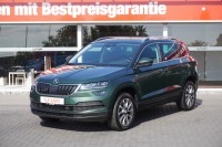Vorschau: Skoda Karoq 1.0 TSI Clever