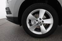 Skoda Karoq 1.5 TSI DSG VarioFlex Sitzhzg.