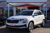 Vorschau: Skoda Karoq 1.0 Tour