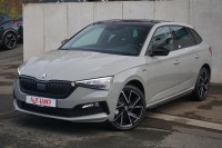 Vorschau: Skoda Scala 1.0 Monte Carlo