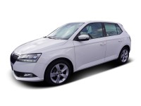 Skoda Fabia 1.0 TSI Active Bluetooth Einparkhilfe hinten Scheckheftgepflegt