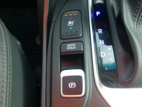 Hyundai Santa Fe 2.2 T-GDI blue Premium 4WD