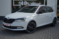 Vorschau: Skoda Fabia 1.0 TSI Monte Carlo