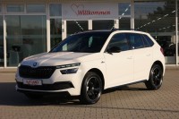 Vorschau: Skoda Kamiq 1.5 TSI Monte Carlo