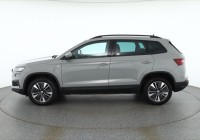 Vorschau: Skoda Karoq 1.0 TSI Tour