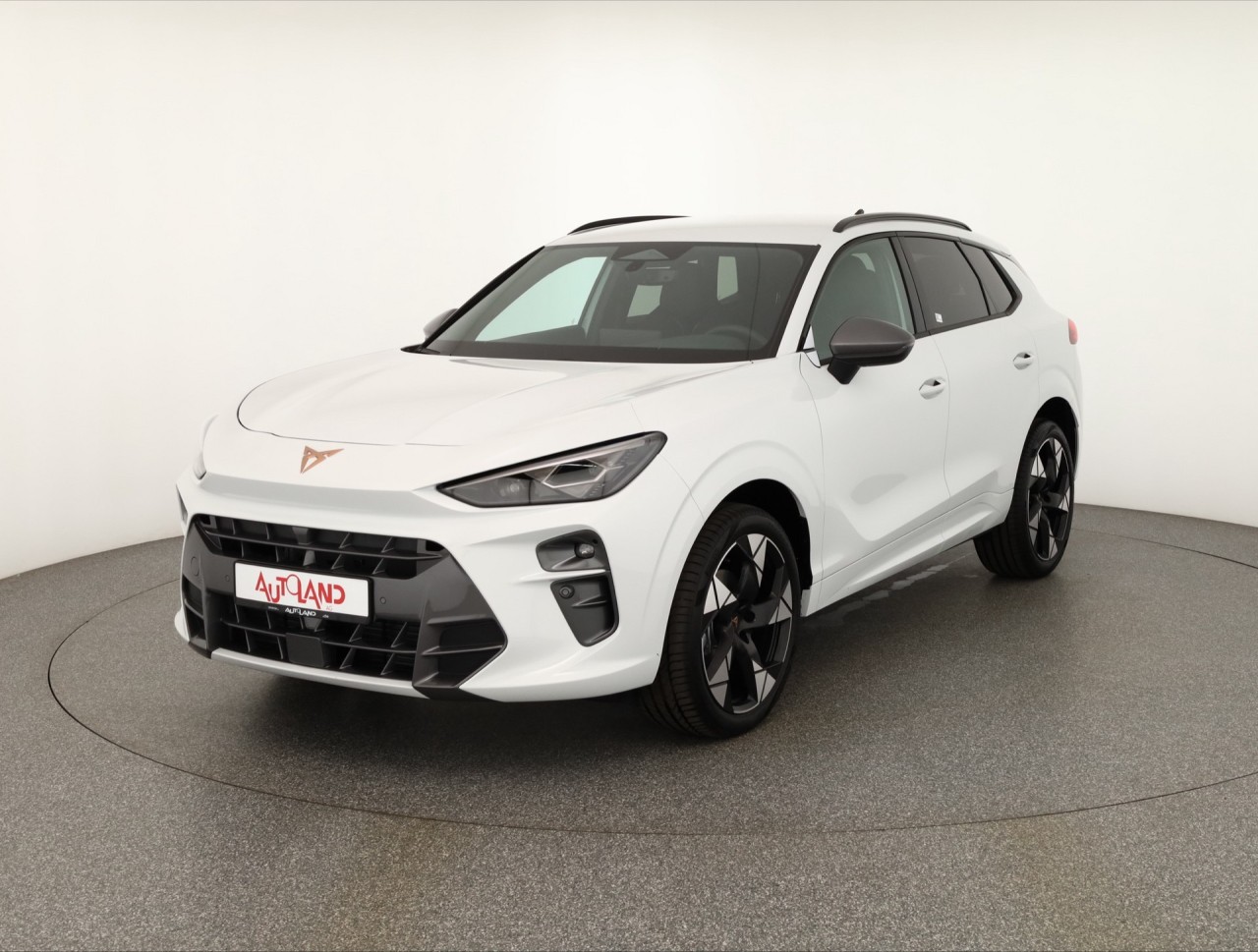 Cupra Terramar 1.5 eTSI DSG