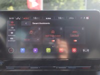 Cupra Formentor 2.0 TDI DSG 4Drive VC