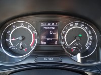 Skoda Fabia 1.0 TSI Monte Carlo DSG