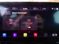 Cupra Formentor 1.5 TSI