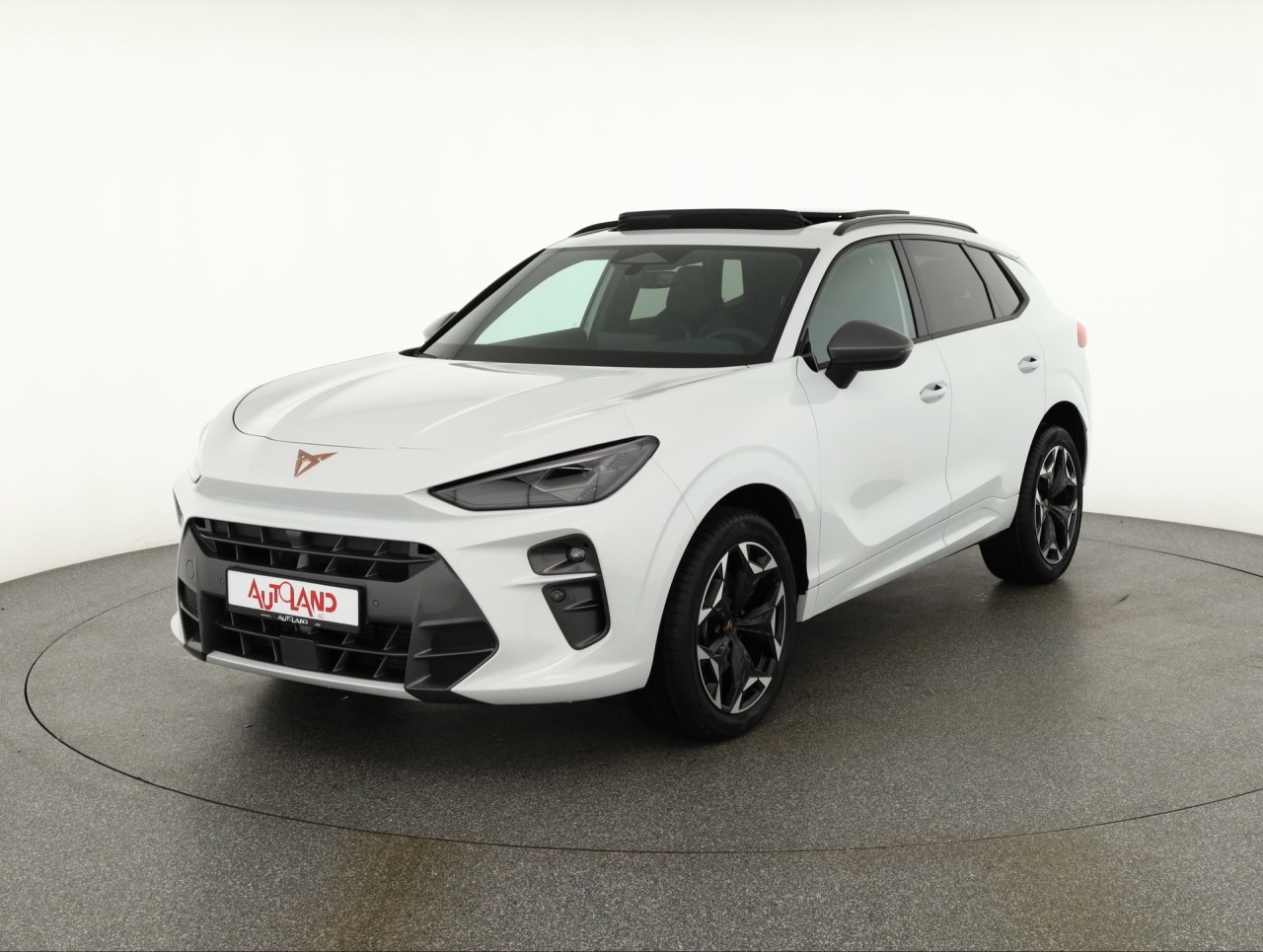 Cupra Terramar VZ 2.0 TSI 4Drive DSG