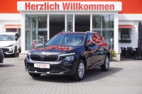 Vorschau: Skoda Kamiq 1.0 TSI DSG
