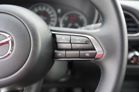 Mazda CX-30 2.0 M-Hybrid Homura Aut.