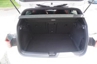 VW Golf VIII 2.0 GTI DSG