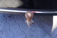 Mercedes-Benz C 220 C220 T-Modell d Avantgarde