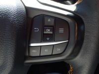 Ford Ranger 2.0 EcoBlue Wildtrak e-4WD DoKa Aut.