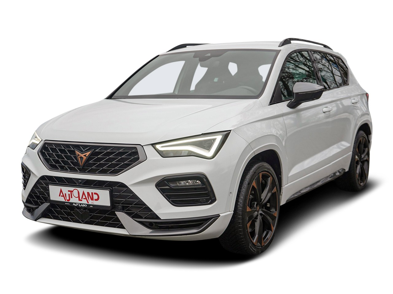 Cupra Ateca 2.0 Basis 4Drive