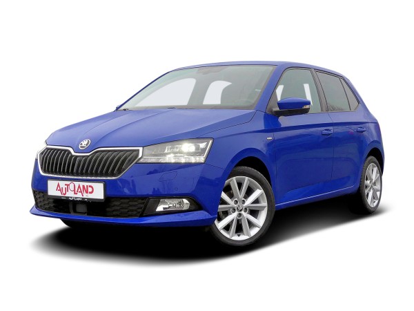 Skoda Fabia 1.0 TSI Clever